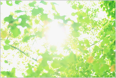 画像の説明 画像の説明